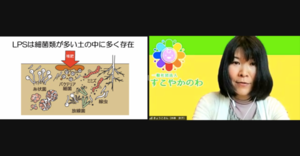 すこやか健康講座1.png