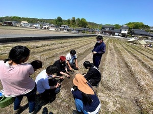 鉢上げ作業.jpg